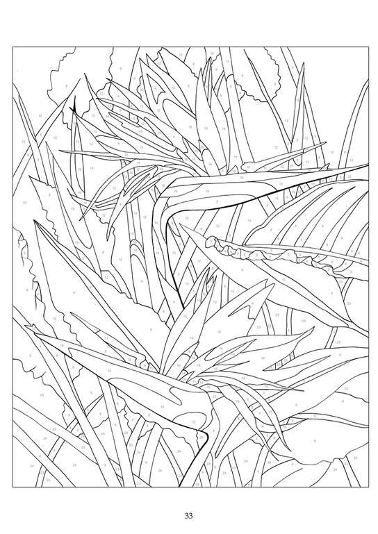 Vybarvování podle čísel: Květiny