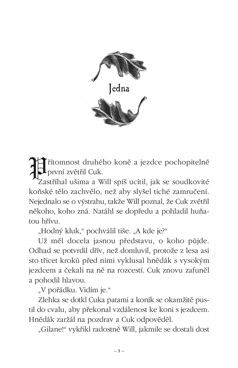 Hraničářův učeň - Kniha osmá - Králové Clonmelu