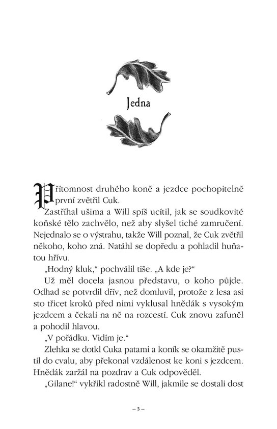 Hraničářův učeň - Kniha osmá - Králové Clonmelu