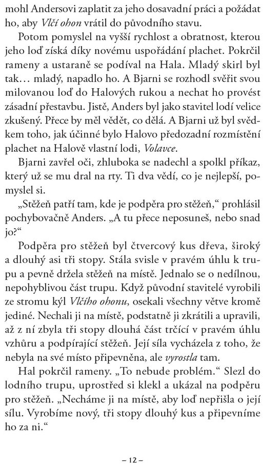 Bratrstvo - Kniha čtvrtá - Otroci ze Sokora
