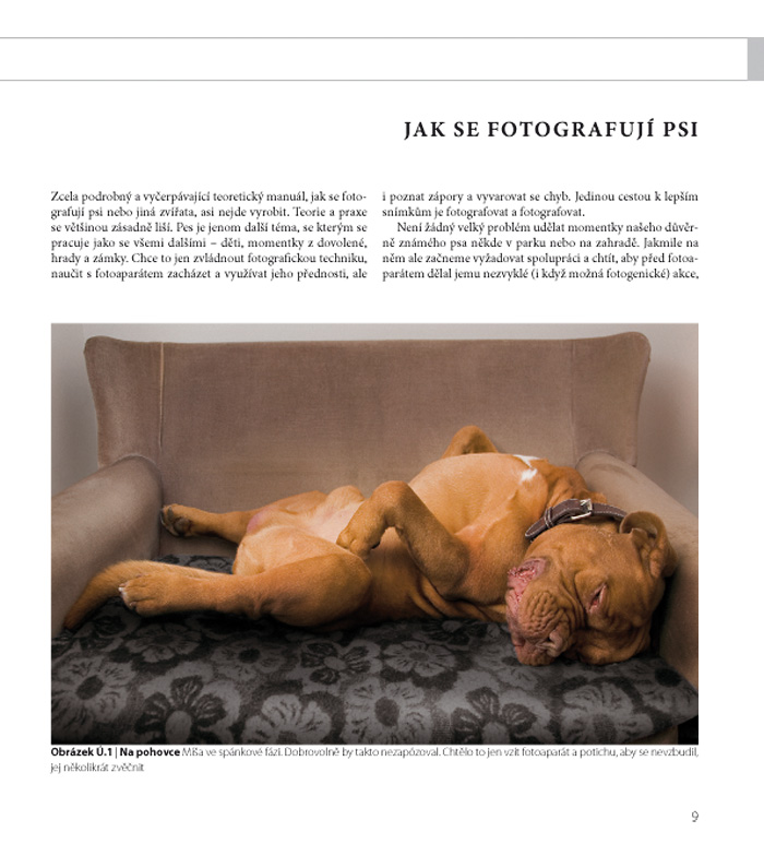 Fotografujeme psy