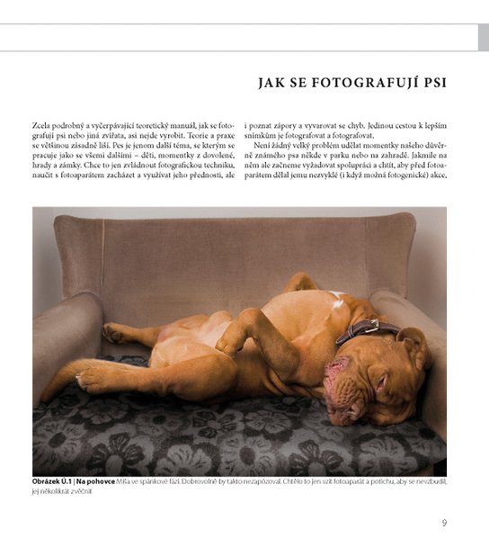 Fotografujeme psy