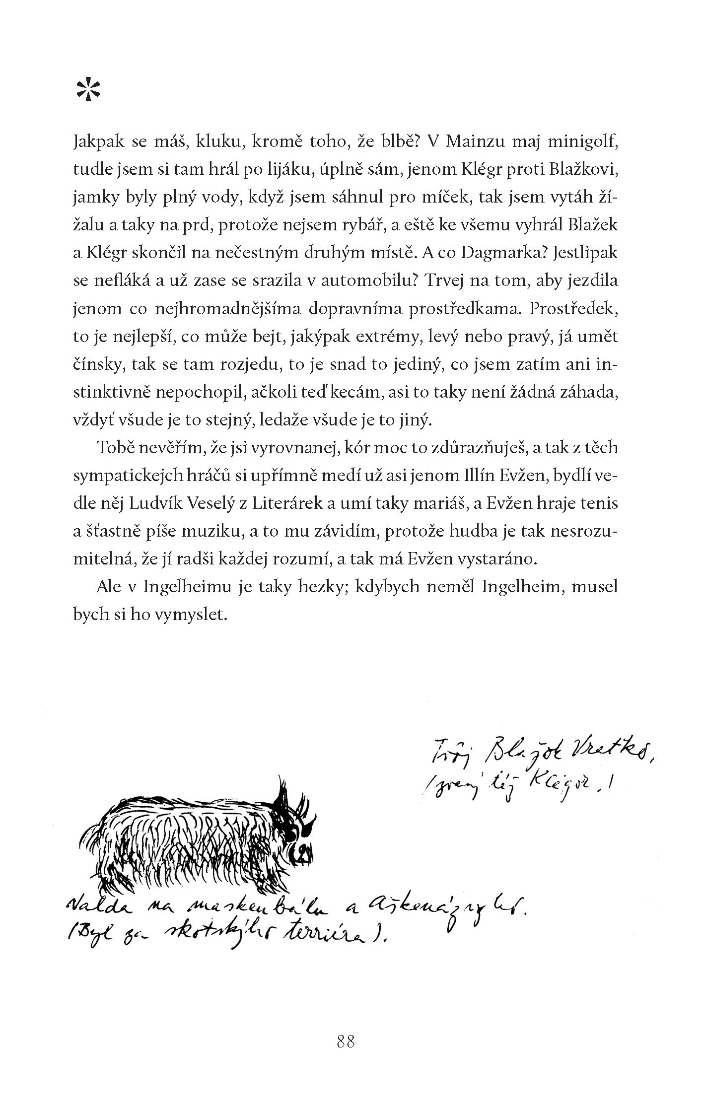 Mariáš v Reykjaviku