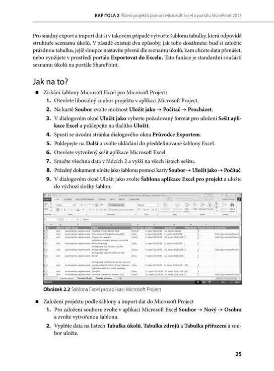Microsoft Project 2013
