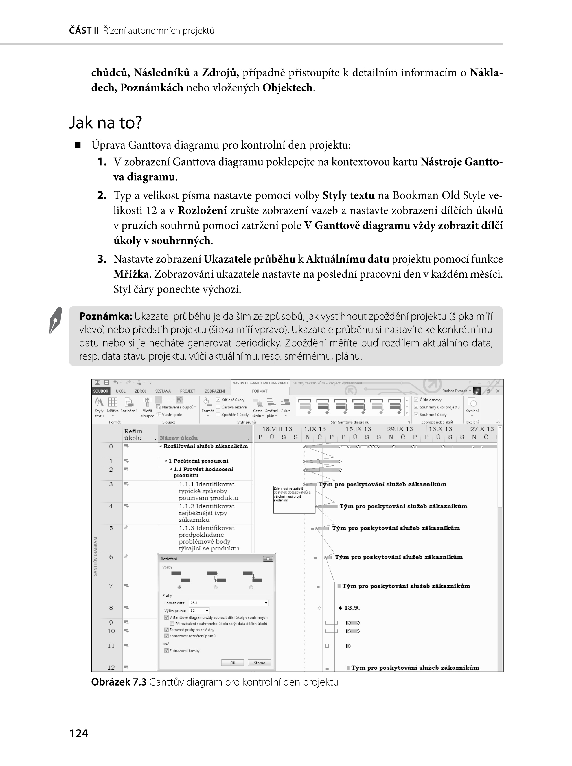 Microsoft Project 2013