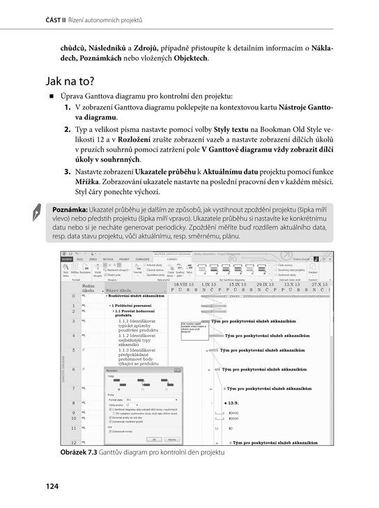 Microsoft Project 2013