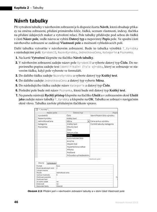 Microsoft Access 2013 Podrobná uživatelská příručka