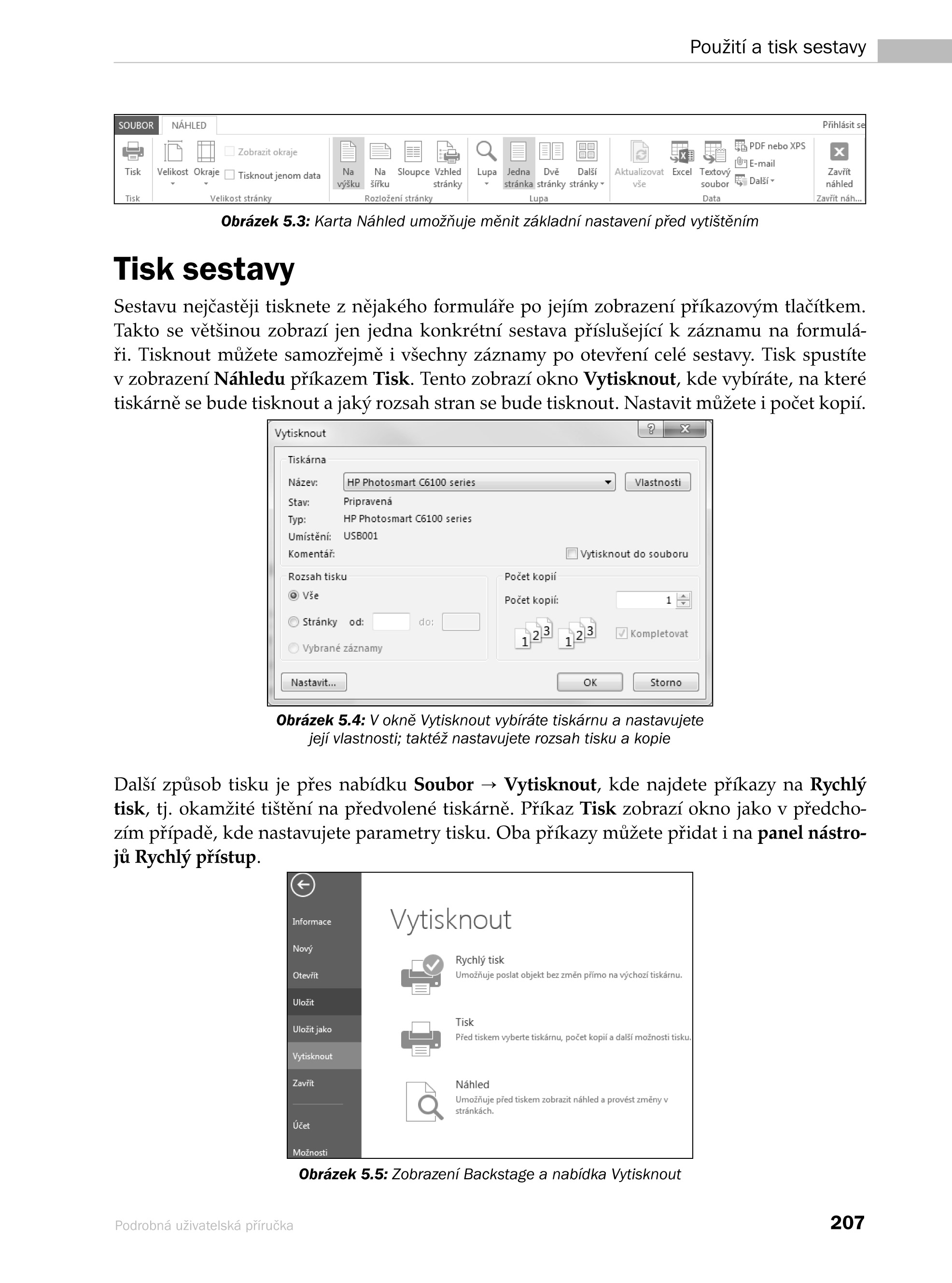 Microsoft Access 2013 Podrobná uživatelská příručka