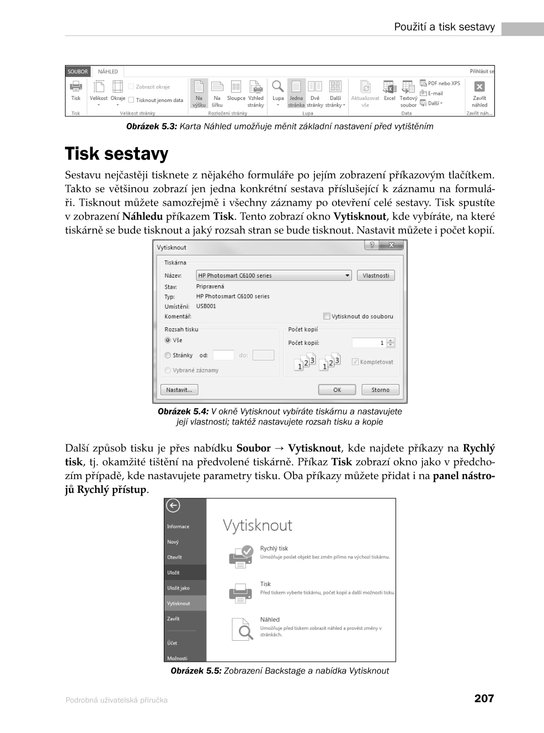 Microsoft Access 2013 Podrobná uživatelská příručka