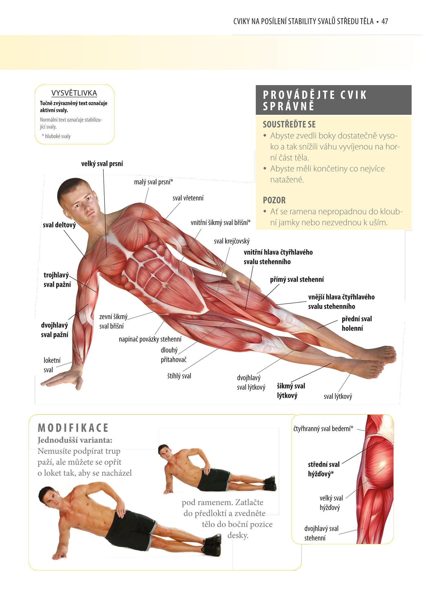 Posilování středu těla - anatomie
