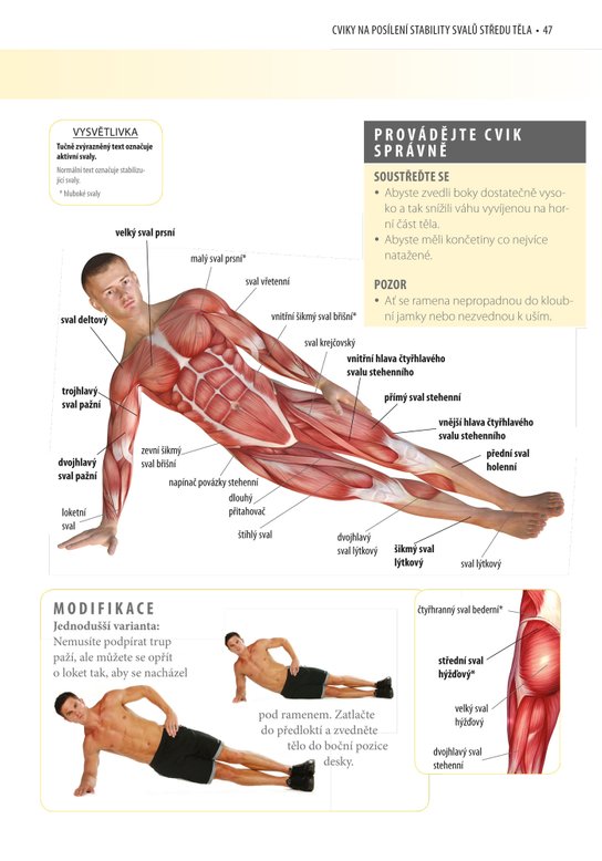 Posilování středu těla - anatomie