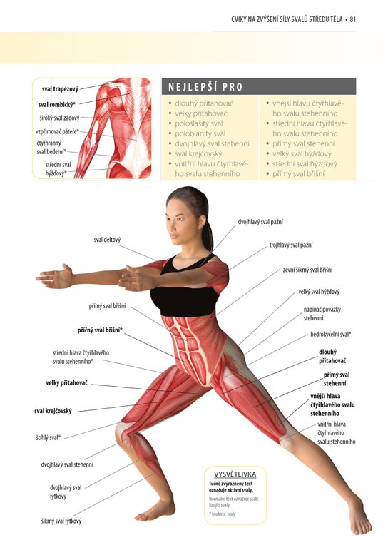 Posilování středu těla - anatomie