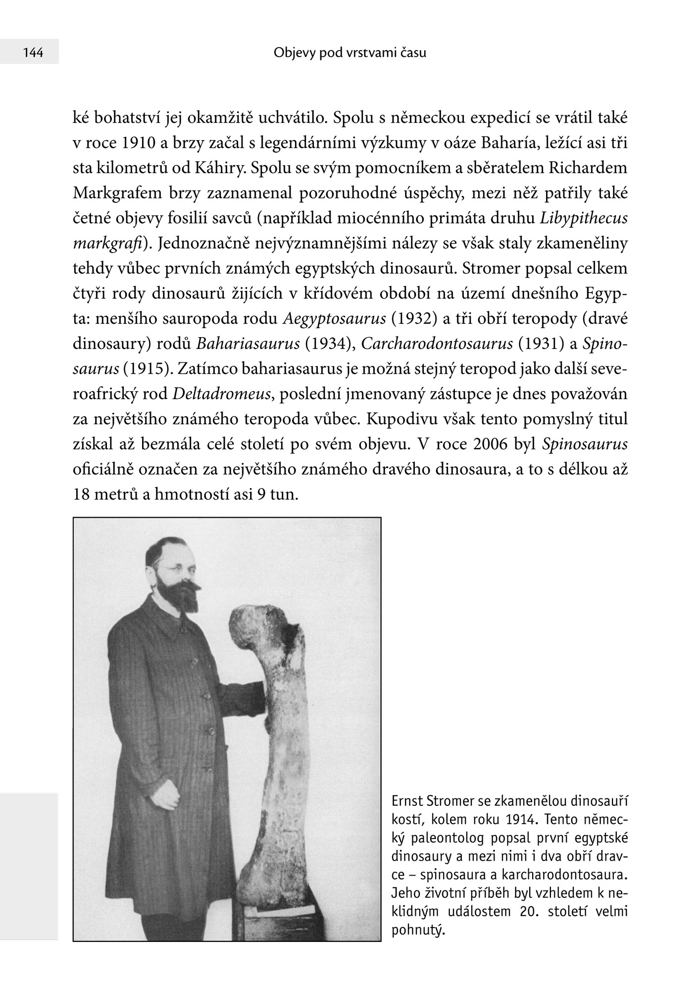 Objevy pod vrstvami času