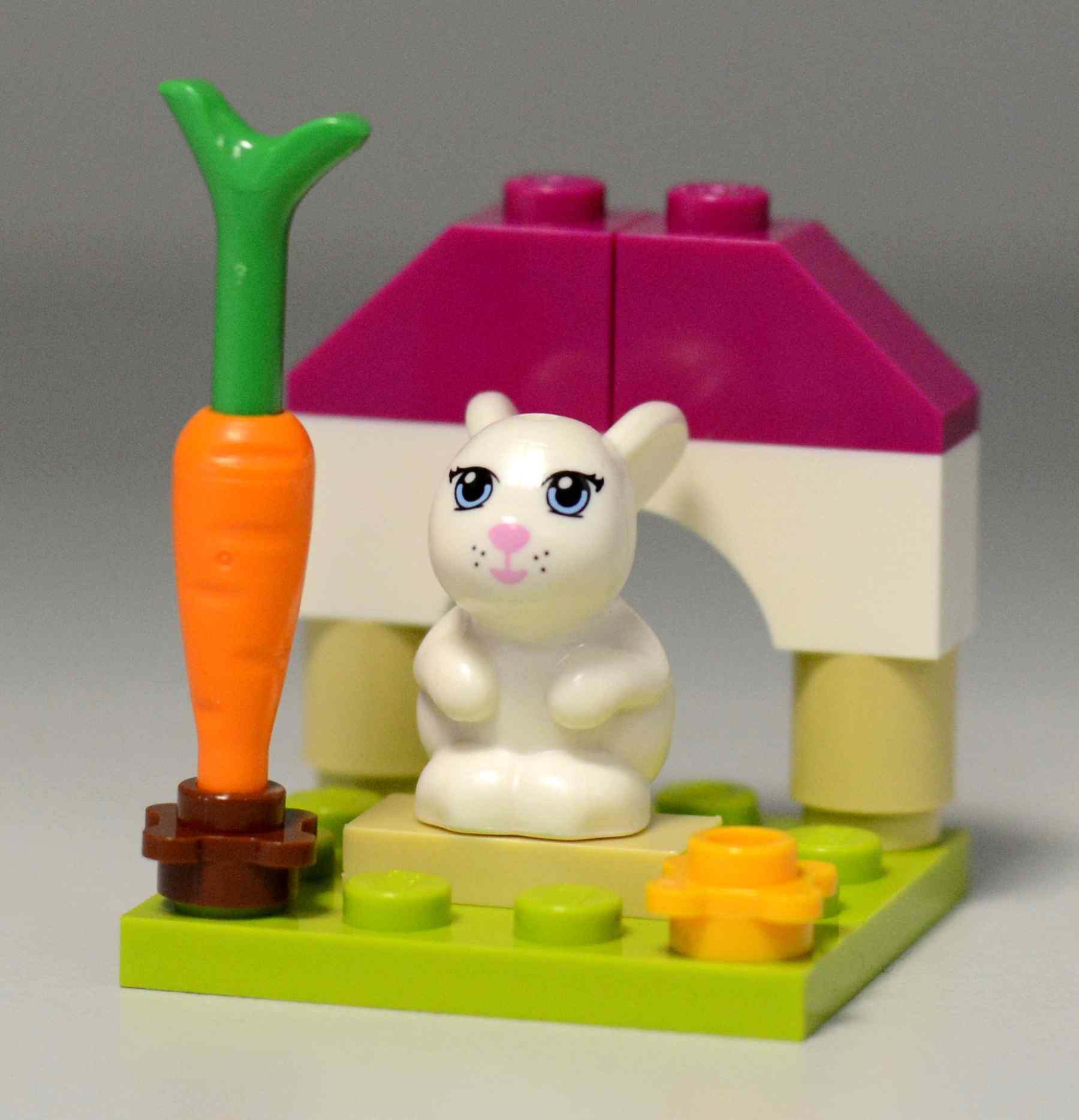 LEGO® Friends Andrein sen