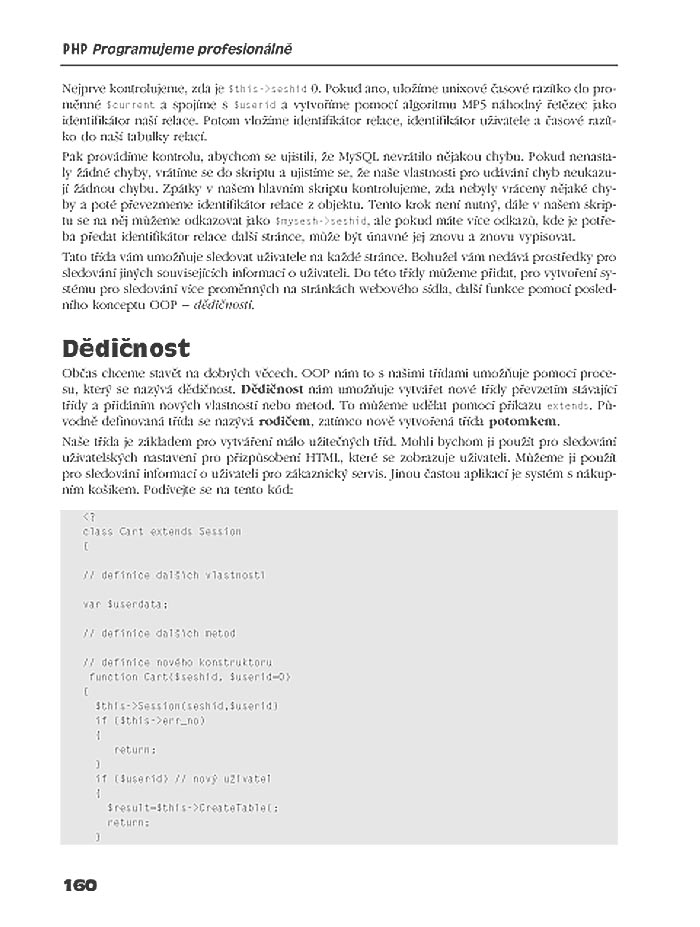 PHP Programujeme profesionálně