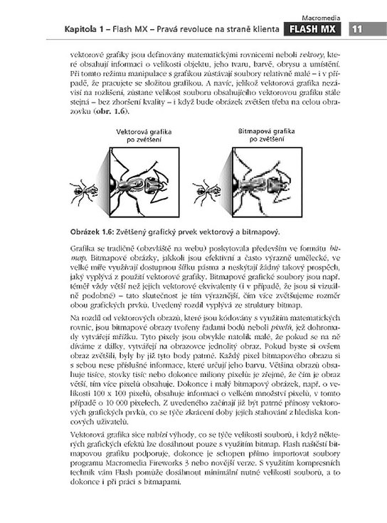 Macromedia Flash MX