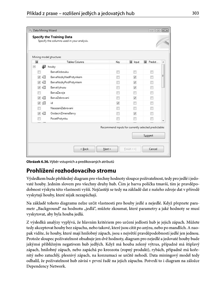 Business Intelligence v SQL Serveru 2008