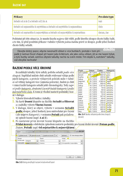 Microsoft Excel 2010