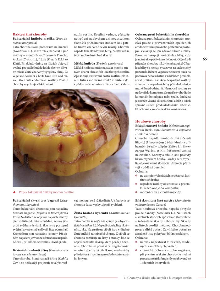 Encyklopedie tulipánů, hyacintů, begonií