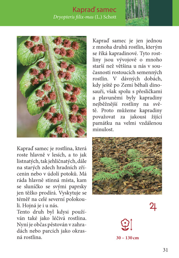 100 rostlin, které byste měli znát
