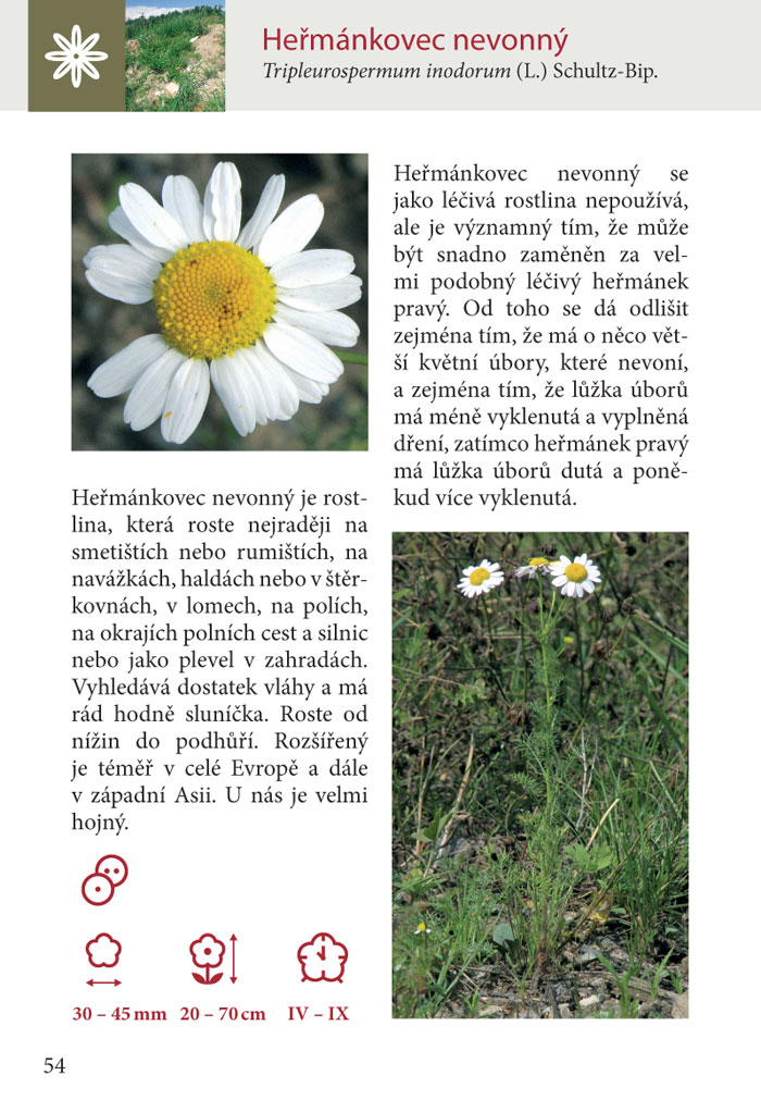 100 rostlin, které byste měli znát