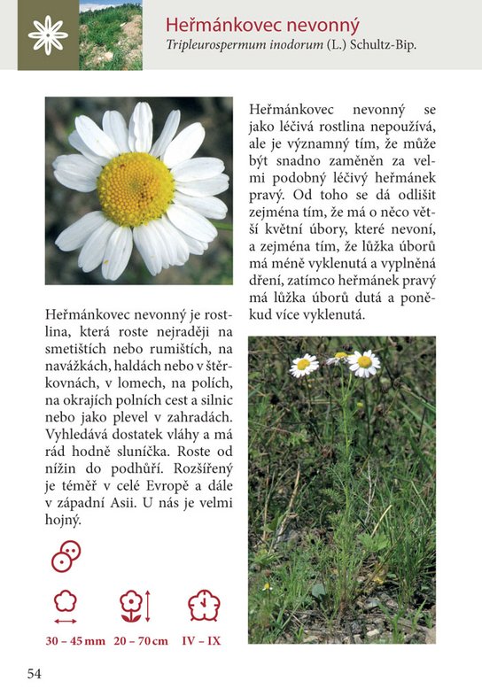 100 rostlin, které byste měli znát