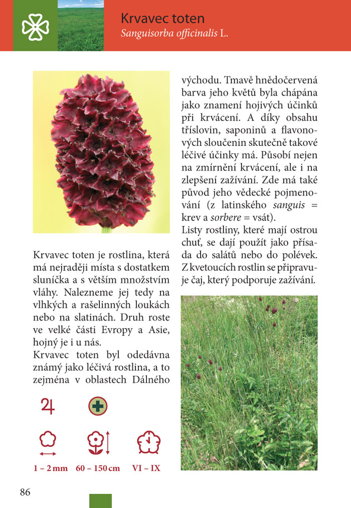 100 rostlin, které byste měli znát