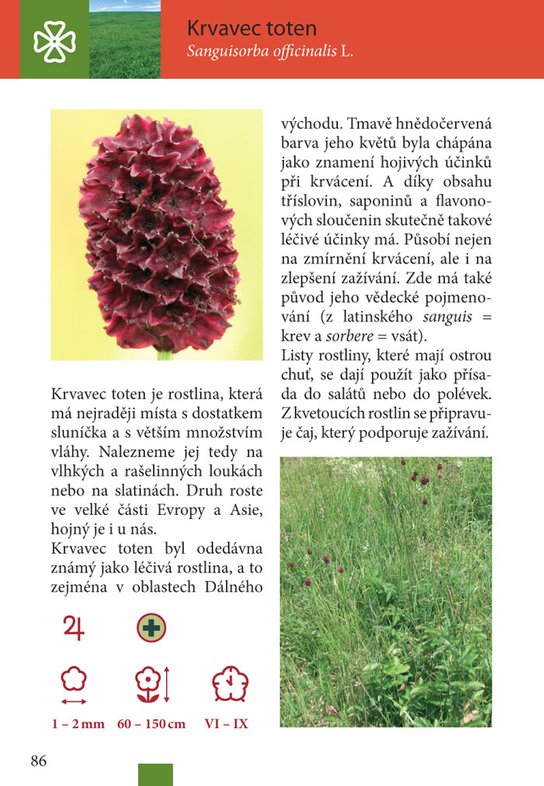 100 rostlin, které byste měli znát