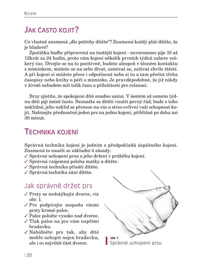 Kojení