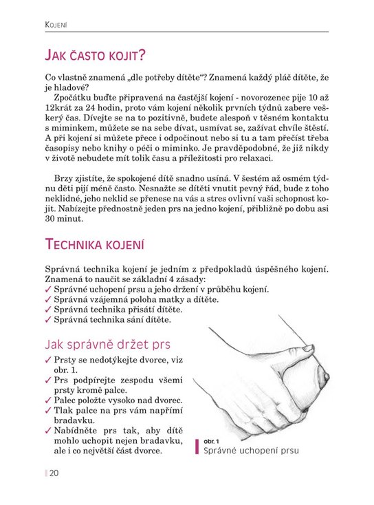 Kojení