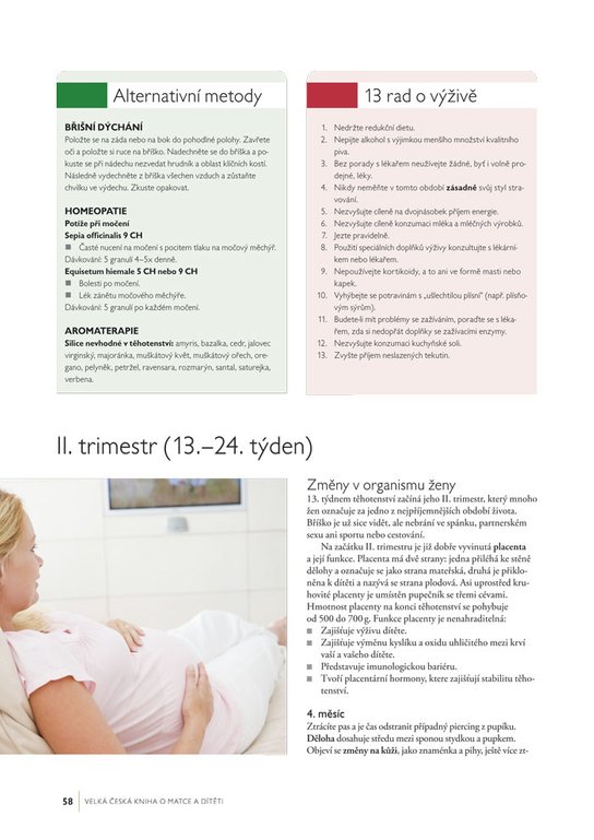 Velká česká kniha o matce a dítěti