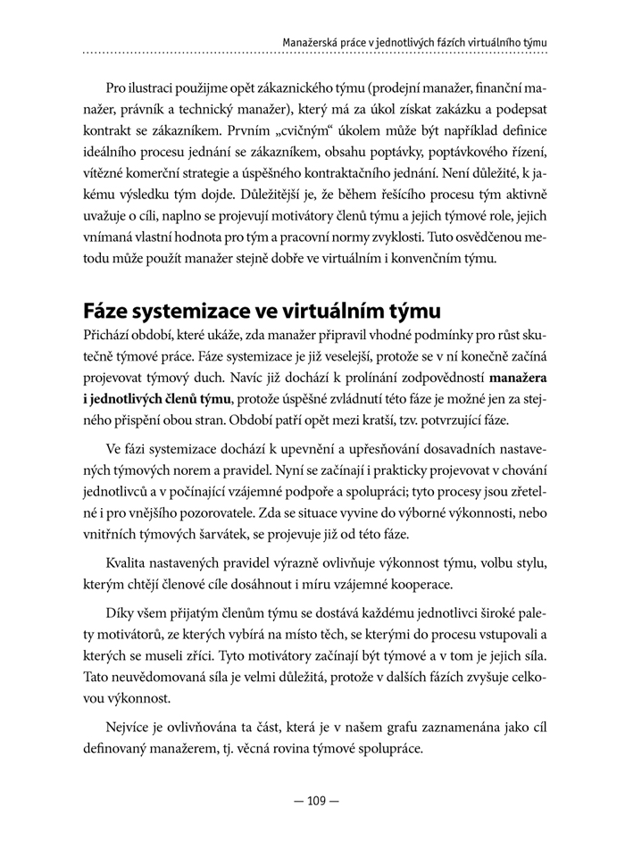 Virtuální tým