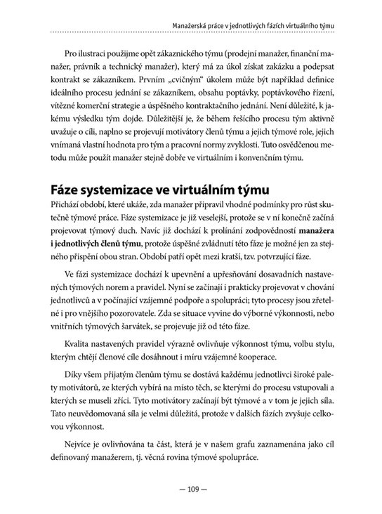 Virtuální tým