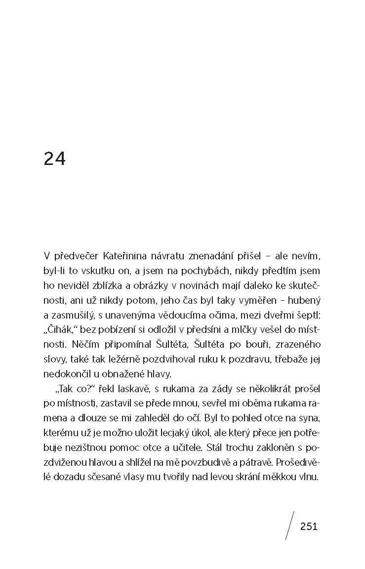 Škodlivý prostor (Podvržená prvotina)