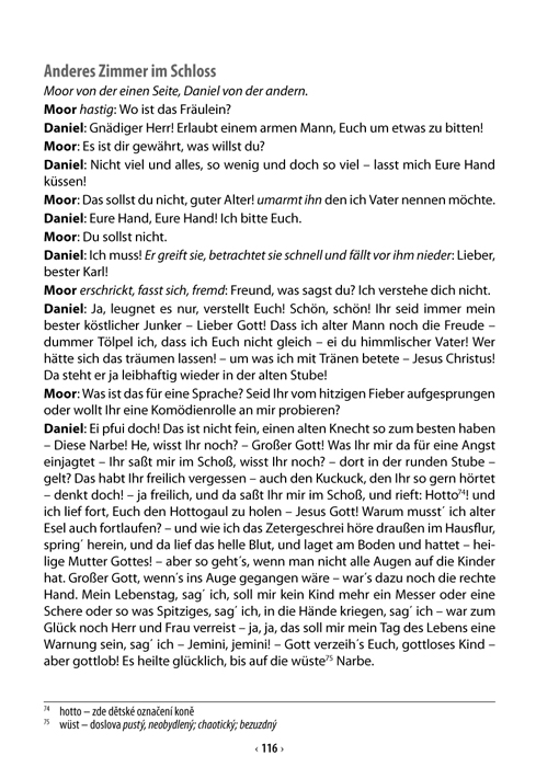 Die Räuber - Loupežníci