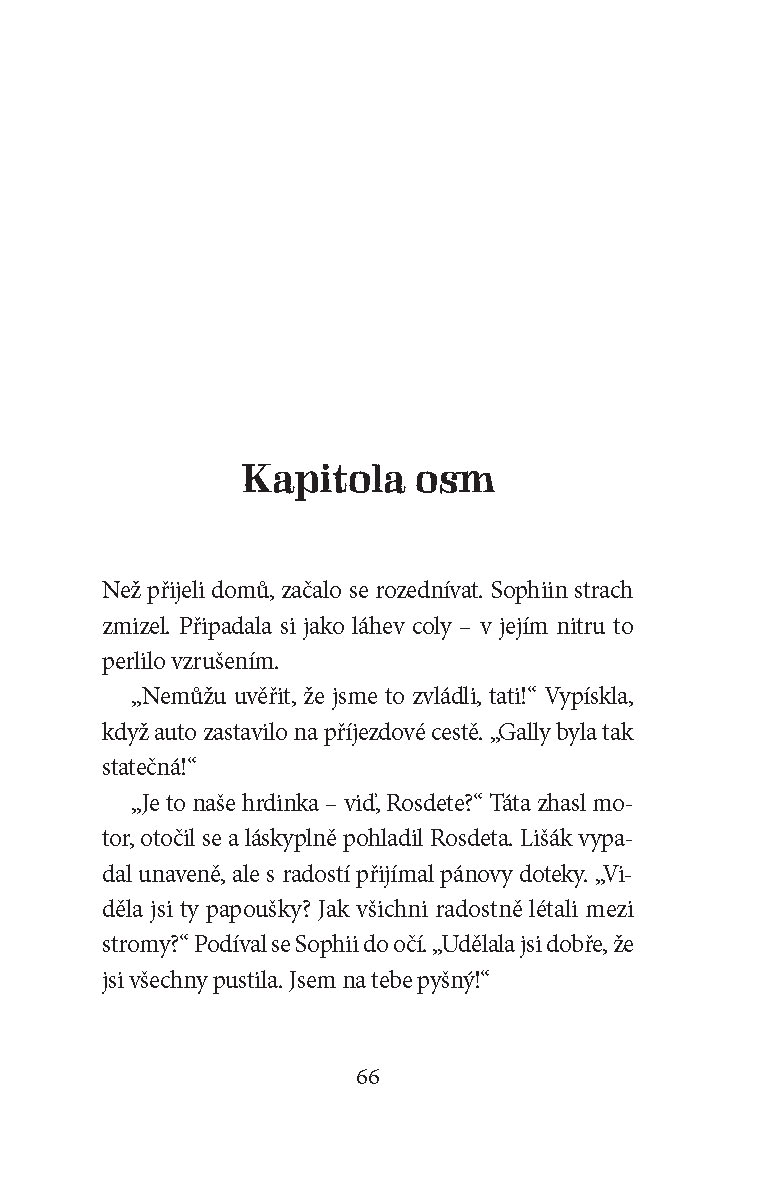 Kouzelná truhlice