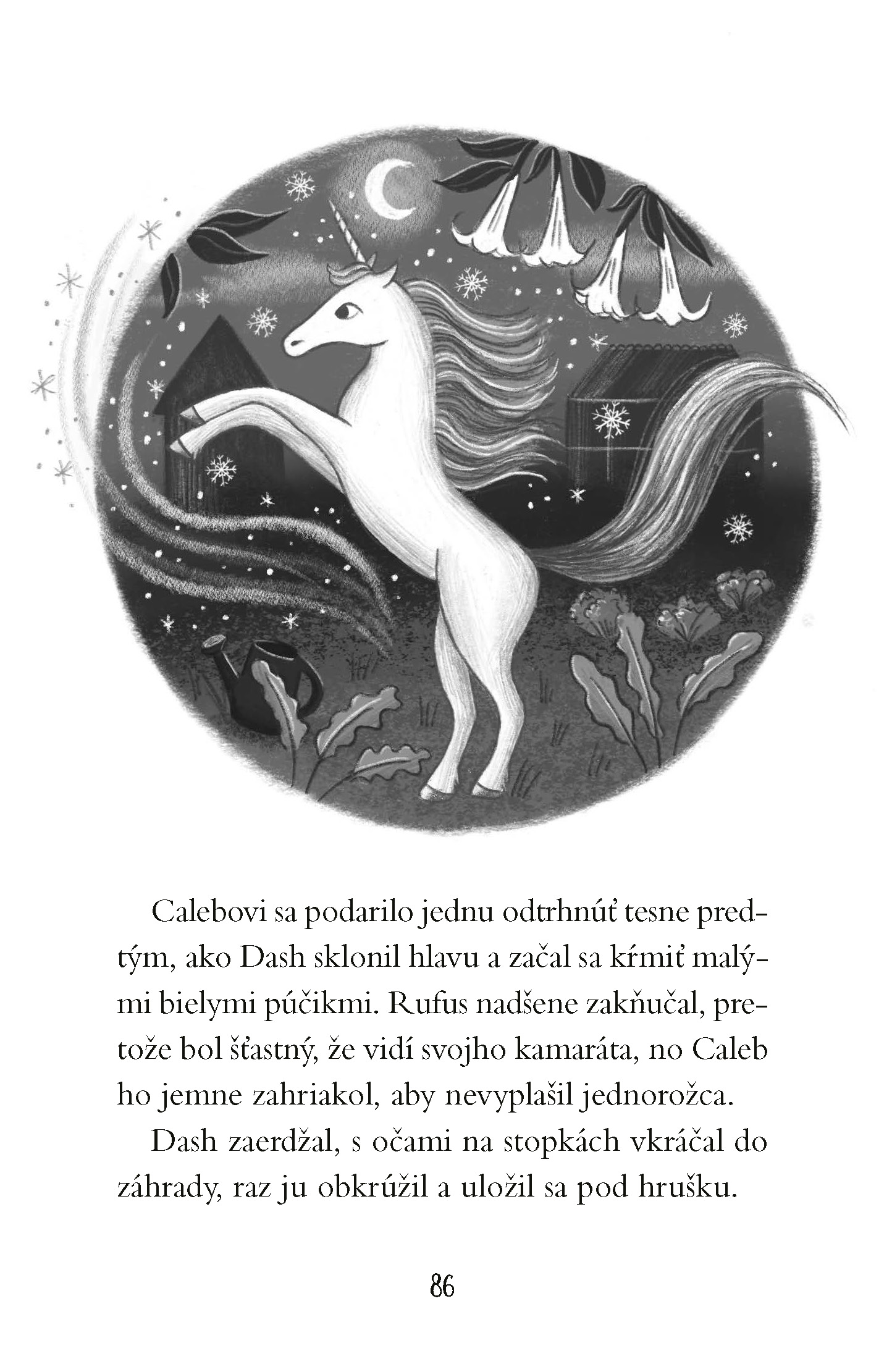 Cesta za jednorožcami 2: Tajný spolok pátračov