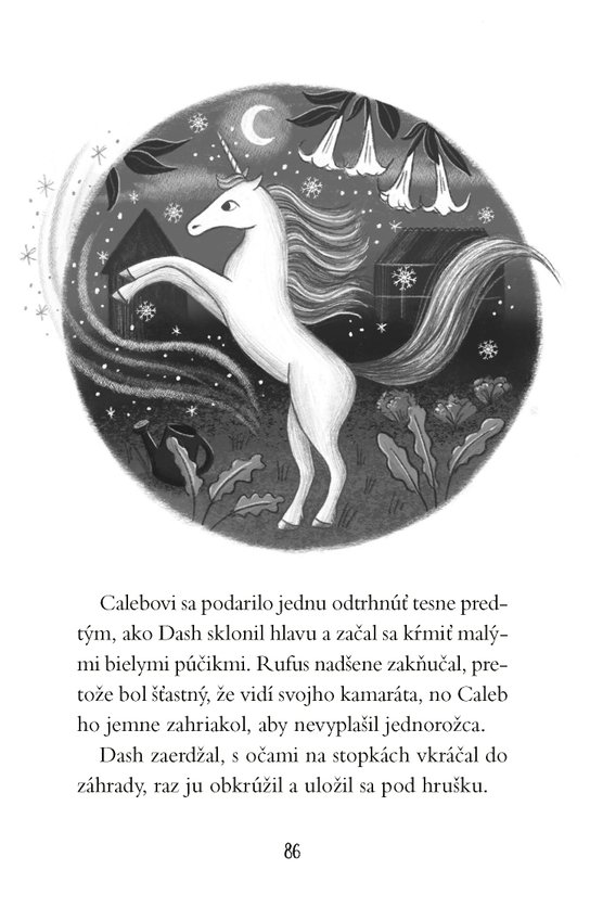 Cesta za jednorožcami 2: Tajný spolok pátračov