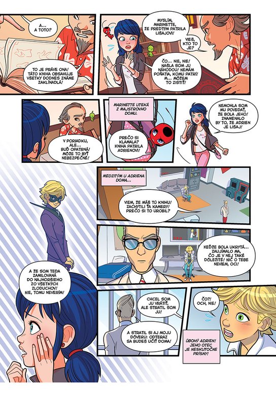 Čarovná Lienka a Čierny Kocúr - Komiksové príbehy 4