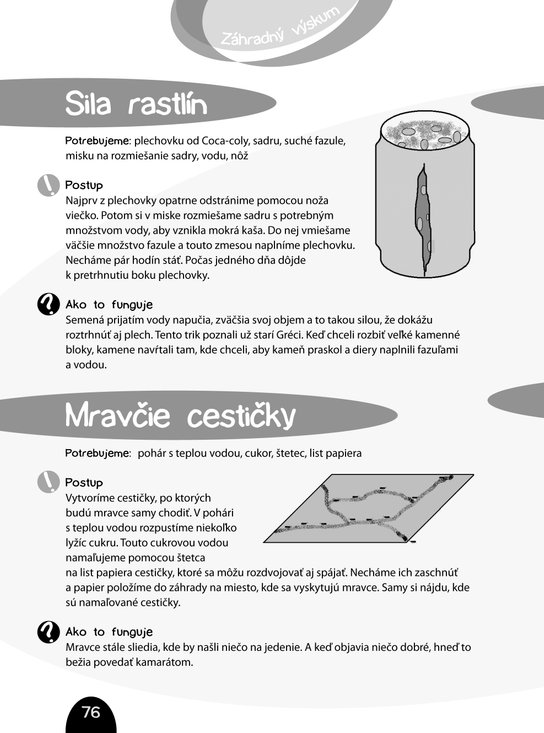 Fyzika na dvore
