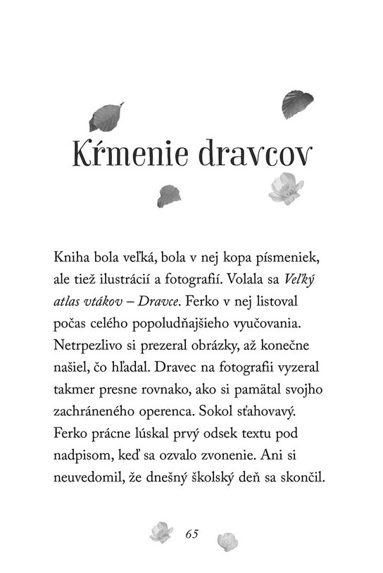 Zvierací záchranári – Poranený sokol