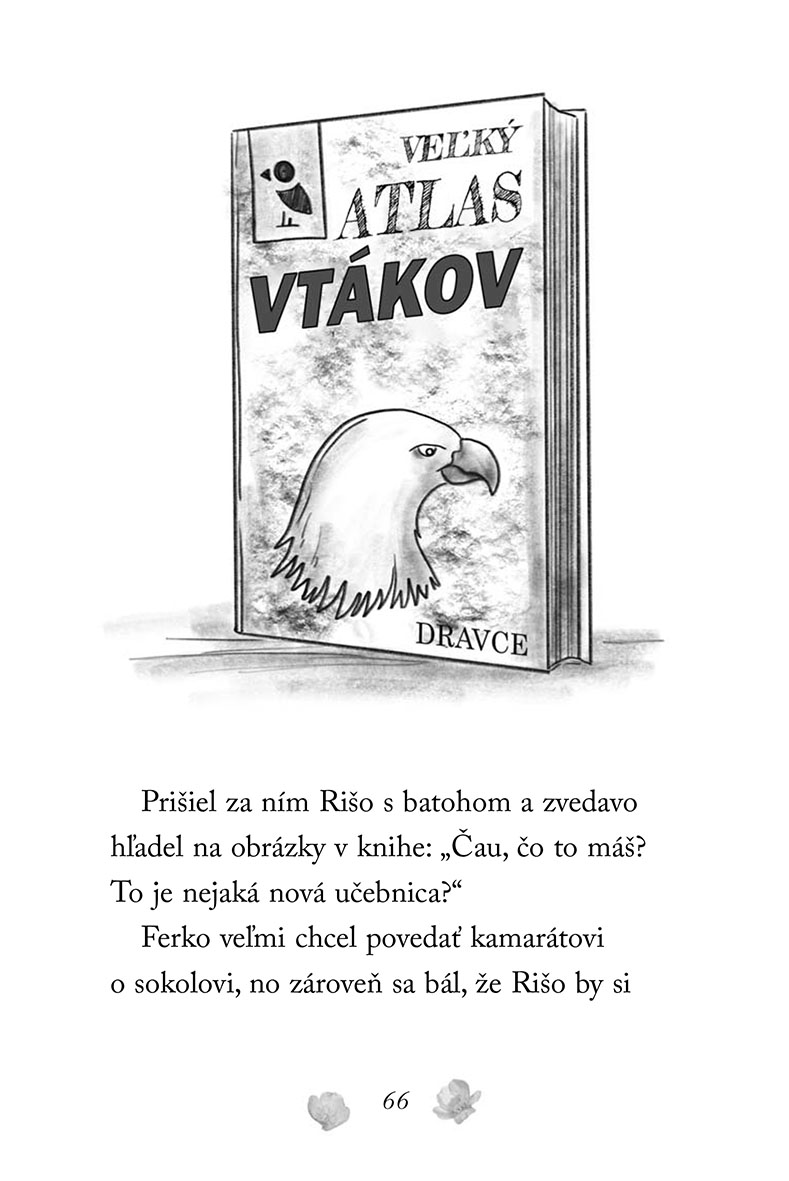 Zvierací záchranári – Poranený sokol
