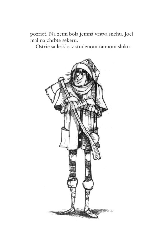 Vianočný chlapec Nikolas