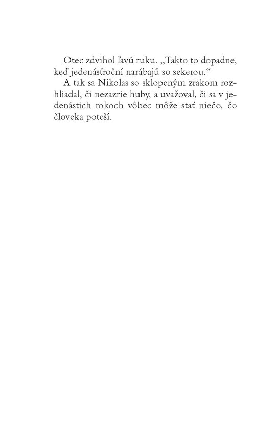 Vianočný chlapec Nikolas
