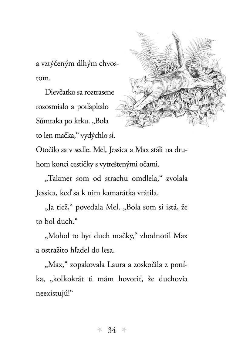 Môj tajný jednorožec 4: Prekvapenie pod hviezdami