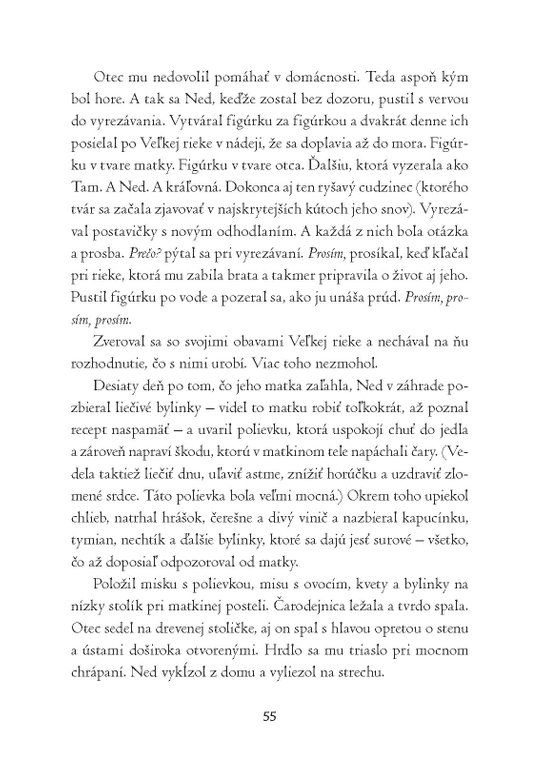 Syn čarodejnice