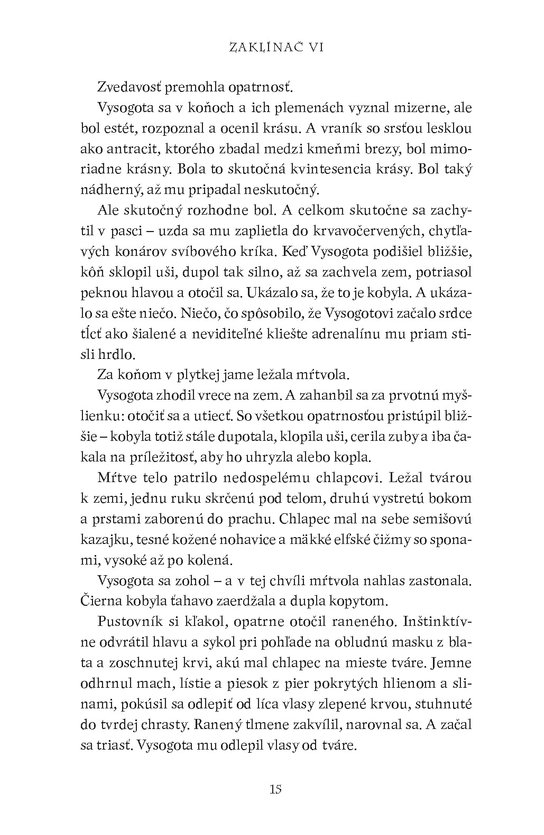 Zaklínač VI Veža lastovičky