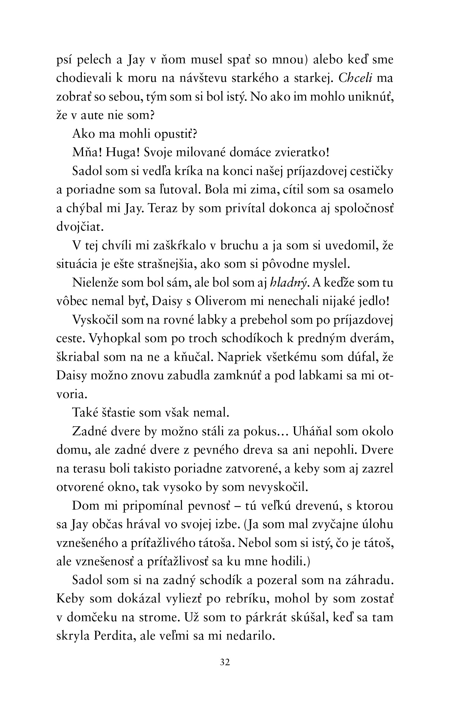 Hugo a Vianoce pod psa
