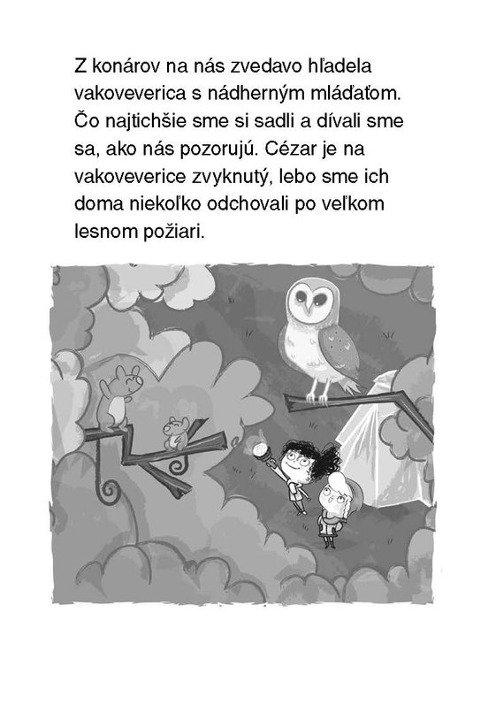 Julinka – malá zverolekárka 5 – Ambulancia na pláži