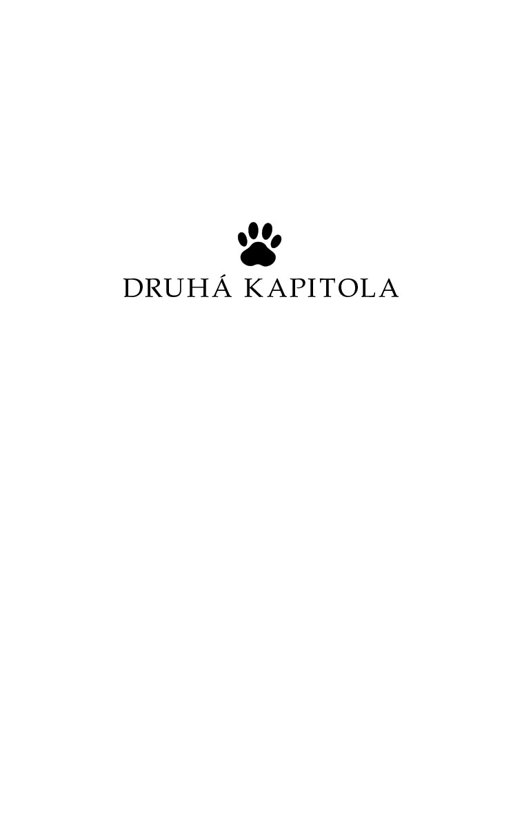 Charlie - mačiatko, ktoré zachránilo život